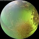 ./images/calvert/underwater/20260825/underwater20260825_163001M.jpg