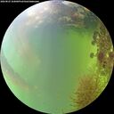 ./images/calvert/underwater/20260825/underwater20260825_164001M.jpg