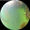 ./images/calvert/underwater/20260825/underwater20260825_164501M.jpg