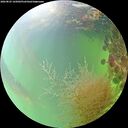 ./images/calvert/underwater/20260825/underwater20260825_165002M.jpg
