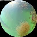 ./images/calvert/underwater/20260825/underwater20260825_165501M.jpg