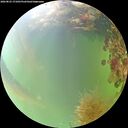 ./images/calvert/underwater/20260825/underwater20260825_171001M.jpg