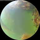 ./images/calvert/underwater/20260825/underwater20260825_171502M.jpg