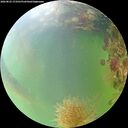 ./images/calvert/underwater/20260825/underwater20260825_173501M.jpg