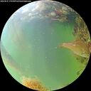 ./images/calvert/underwater/20260825/underwater20260825_174501M.jpg