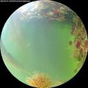 ./images/calvert/underwater/20260825/underwater20260825_175001M.jpg