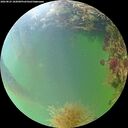 ./images/calvert/underwater/20260825/underwater20260825_182001M.jpg