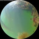 ./images/calvert/underwater/20260825/underwater20260825_182502M.jpg
