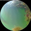 ./images/calvert/underwater/20260825/underwater20260825_184001M.jpg