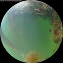 ./images/calvert/underwater/20260825/underwater20260825_190501M.jpg