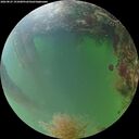 ./images/calvert/underwater/20260825/underwater20260825_191001M.jpg