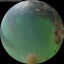 ./images/calvert/underwater/20260825/underwater20260825_191501M.jpg