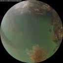 ./images/calvert/underwater/20260825/underwater20260825_194001M.jpg