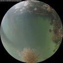 ./images/calvert/underwater/20260825/underwater20260825_200501M.jpg
