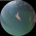 ./images/calvert/underwater/20260825/underwater20260825_203001M.jpg