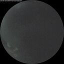 ./images/calvert/underwater/20260826/underwater20260826_060001M.jpg