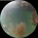 ./images/calvert/underwater/20260826/underwater20260826_064001M.jpg