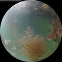 ./images/calvert/underwater/20260826/underwater20260826_064501M.jpg