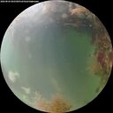 ./images/calvert/underwater/20260826/underwater20260826_065501M.jpg