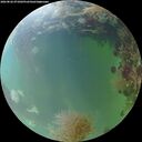 ./images/calvert/underwater/20260826/underwater20260826_071001M.jpg