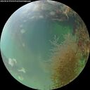 ./images/calvert/underwater/20260826/underwater20260826_072501M.jpg