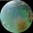 ./images/calvert/underwater/20260826/underwater20260826_073001M.jpg