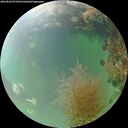./images/calvert/underwater/20260826/underwater20260826_073501M.jpg