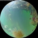 ./images/calvert/underwater/20260826/underwater20260826_074501M.jpg