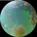 ./images/calvert/underwater/20260826/underwater20260826_075002M.jpg
