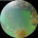 ./images/calvert/underwater/20260826/underwater20260826_083001M.jpg