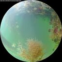 ./images/calvert/underwater/20260826/underwater20260826_084001M.jpg