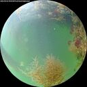 ./images/calvert/underwater/20260826/underwater20260826_090501M.jpg