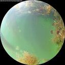 ./images/calvert/underwater/20260826/underwater20260826_091501M.jpg