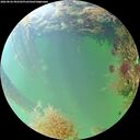 ./images/calvert/underwater/20260826/underwater20260826_092501M.jpg