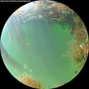 ./images/calvert/underwater/20260826/underwater20260826_093002M.jpg