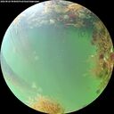 ./images/calvert/underwater/20260826/underwater20260826_094001M.jpg