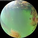 ./images/calvert/underwater/20260826/underwater20260826_094501M.jpg