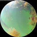 ./images/calvert/underwater/20260826/underwater20260826_095001M.jpg