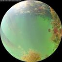 ./images/calvert/underwater/20260826/underwater20260826_095501M.jpg