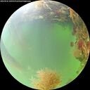 ./images/calvert/underwater/20260826/underwater20260826_100501M.jpg