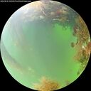 ./images/calvert/underwater/20260826/underwater20260826_101001M.jpg