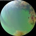 ./images/calvert/underwater/20260826/underwater20260826_105501M.jpg