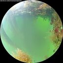 ./images/calvert/underwater/20260826/underwater20260826_110001M.jpg