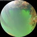 ./images/calvert/underwater/20260826/underwater20260826_110501M.jpg