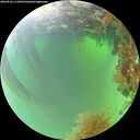 ./images/calvert/underwater/20260826/underwater20260826_113501M.jpg