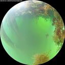 ./images/calvert/underwater/20260826/underwater20260826_114001M.jpg