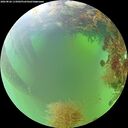 ./images/calvert/underwater/20260826/underwater20260826_115002M.jpg