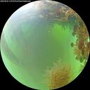 ./images/calvert/underwater/20260826/underwater20260826_115501M.jpg