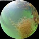 ./images/calvert/underwater/20260826/underwater20260826_120001M.jpg