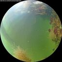 ./images/calvert/underwater/20260826/underwater20260826_122002M.jpg